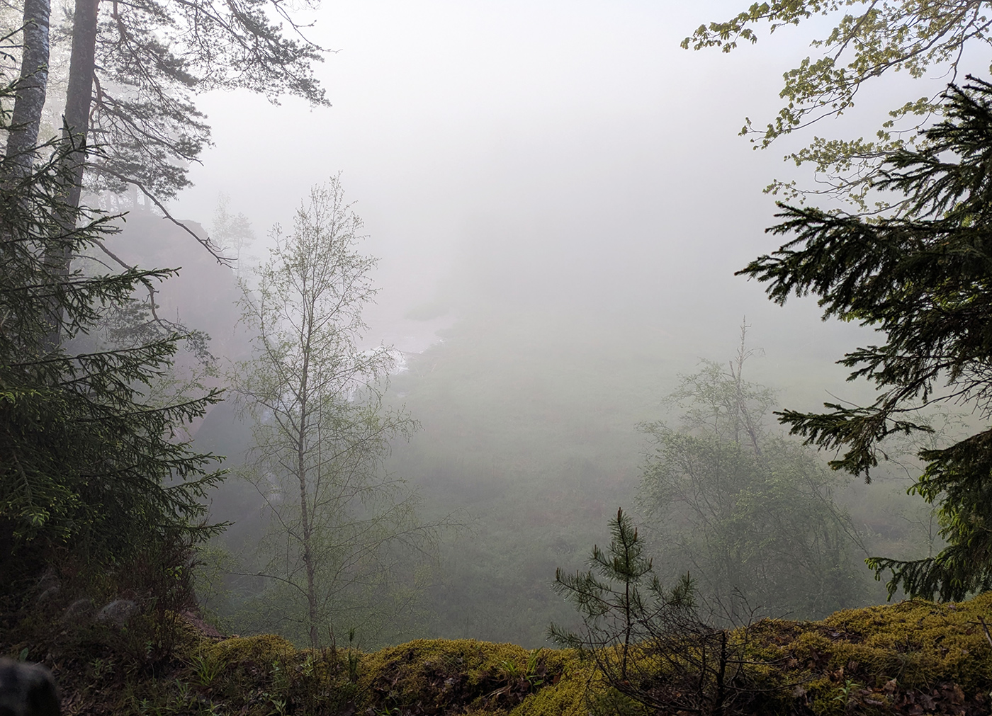 Что скрывает туман