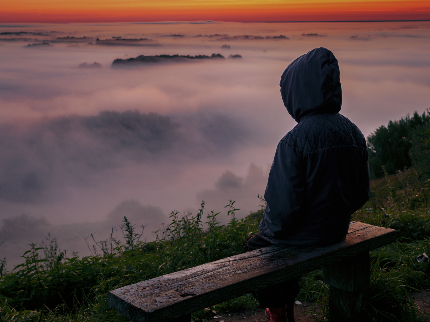 Перед рассветом