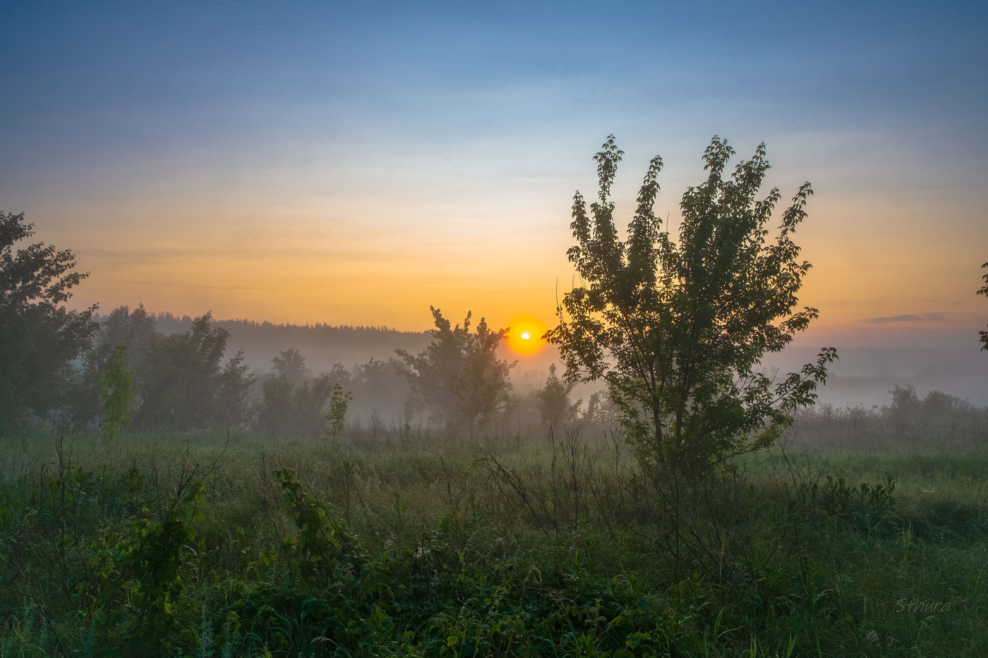 Летний рассвет.