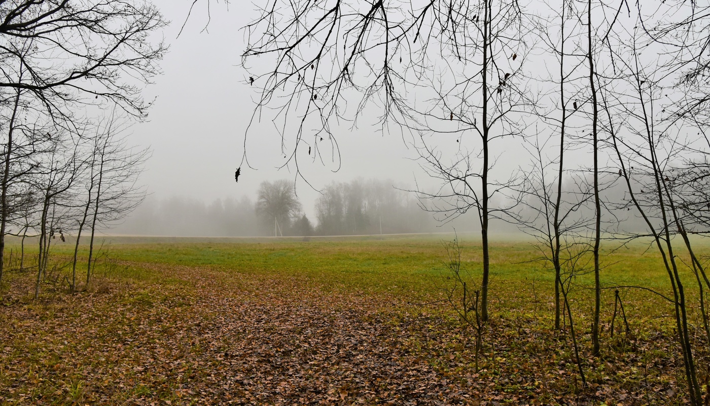 "Здравствуй, мой день, серенький день ..."