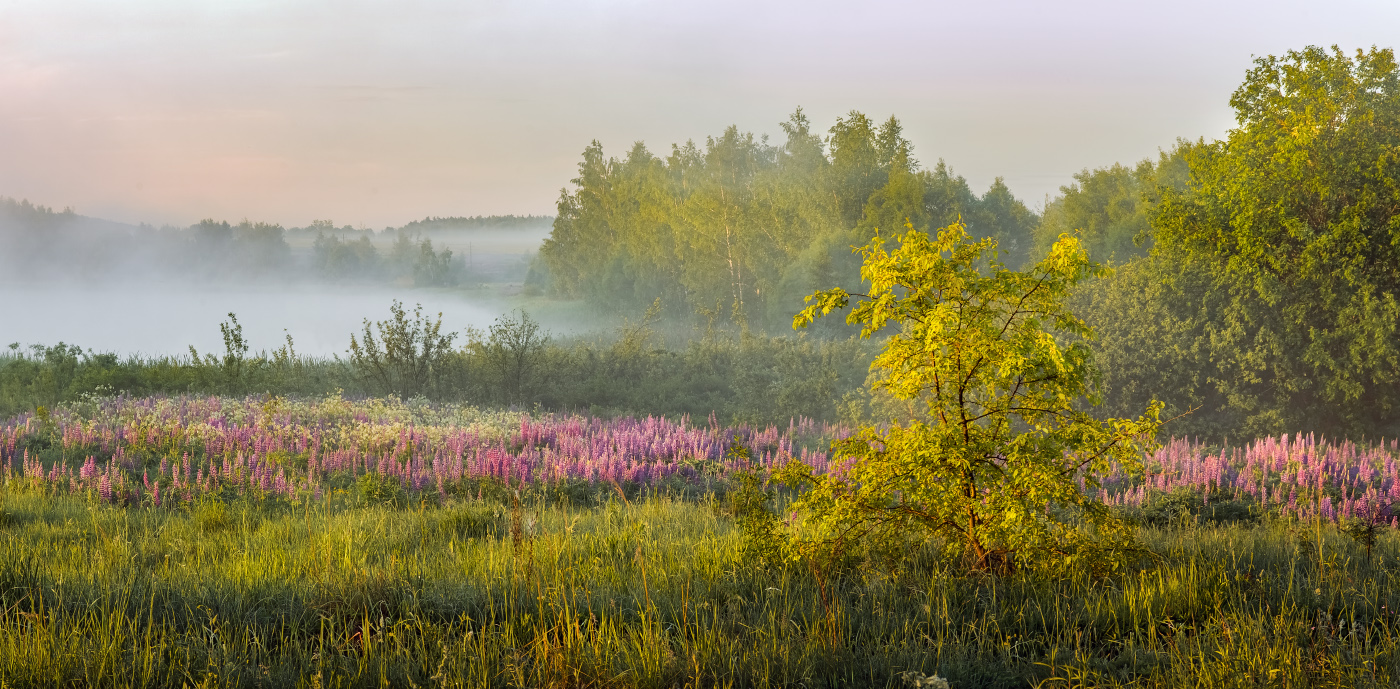 В утренней свежести