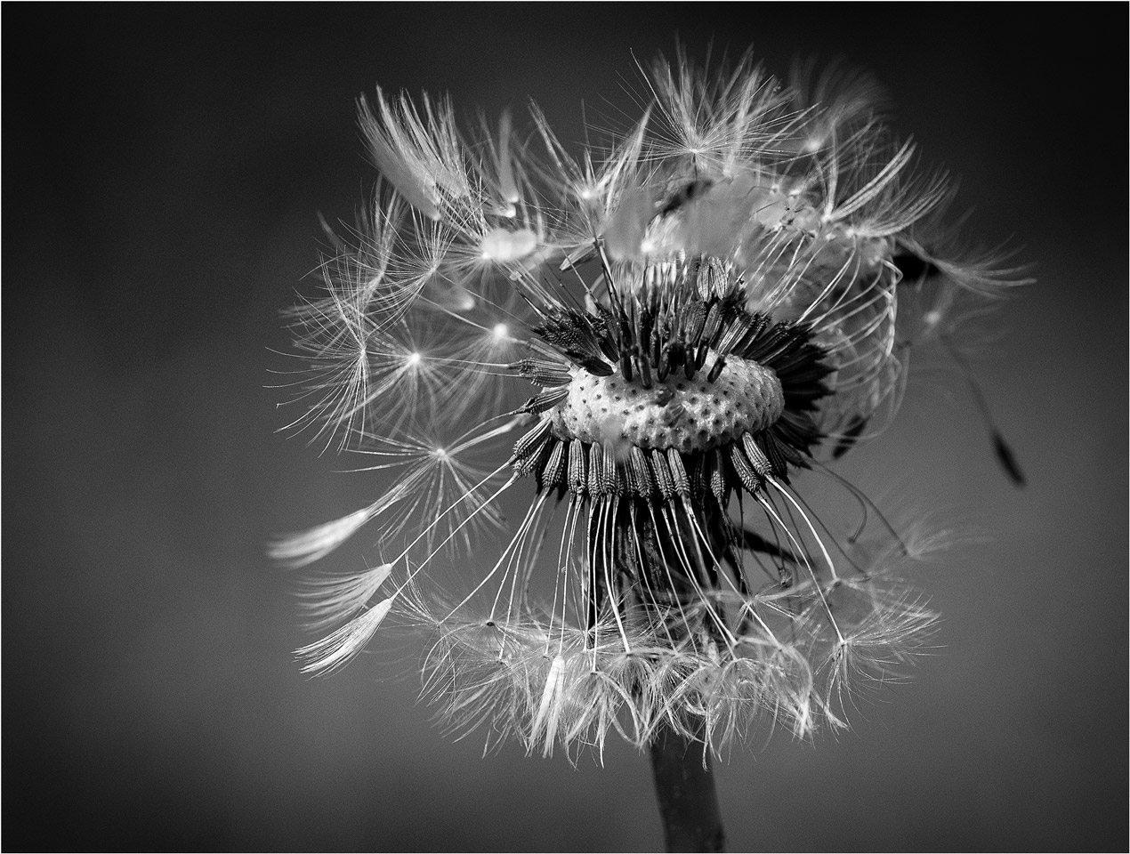 На стыковке