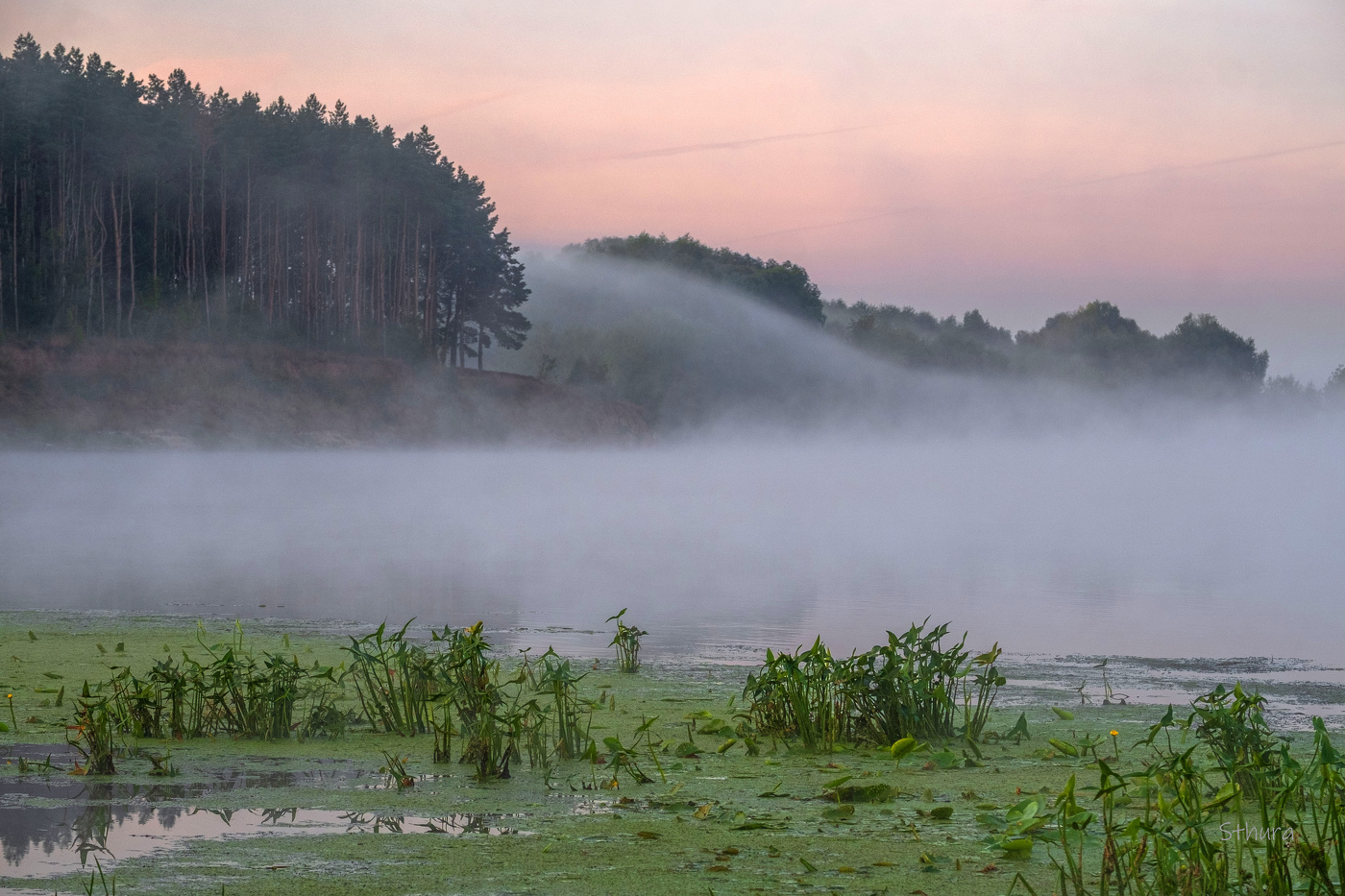 Волна тумана.