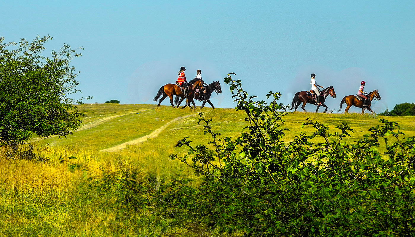 Девчата на прогулке