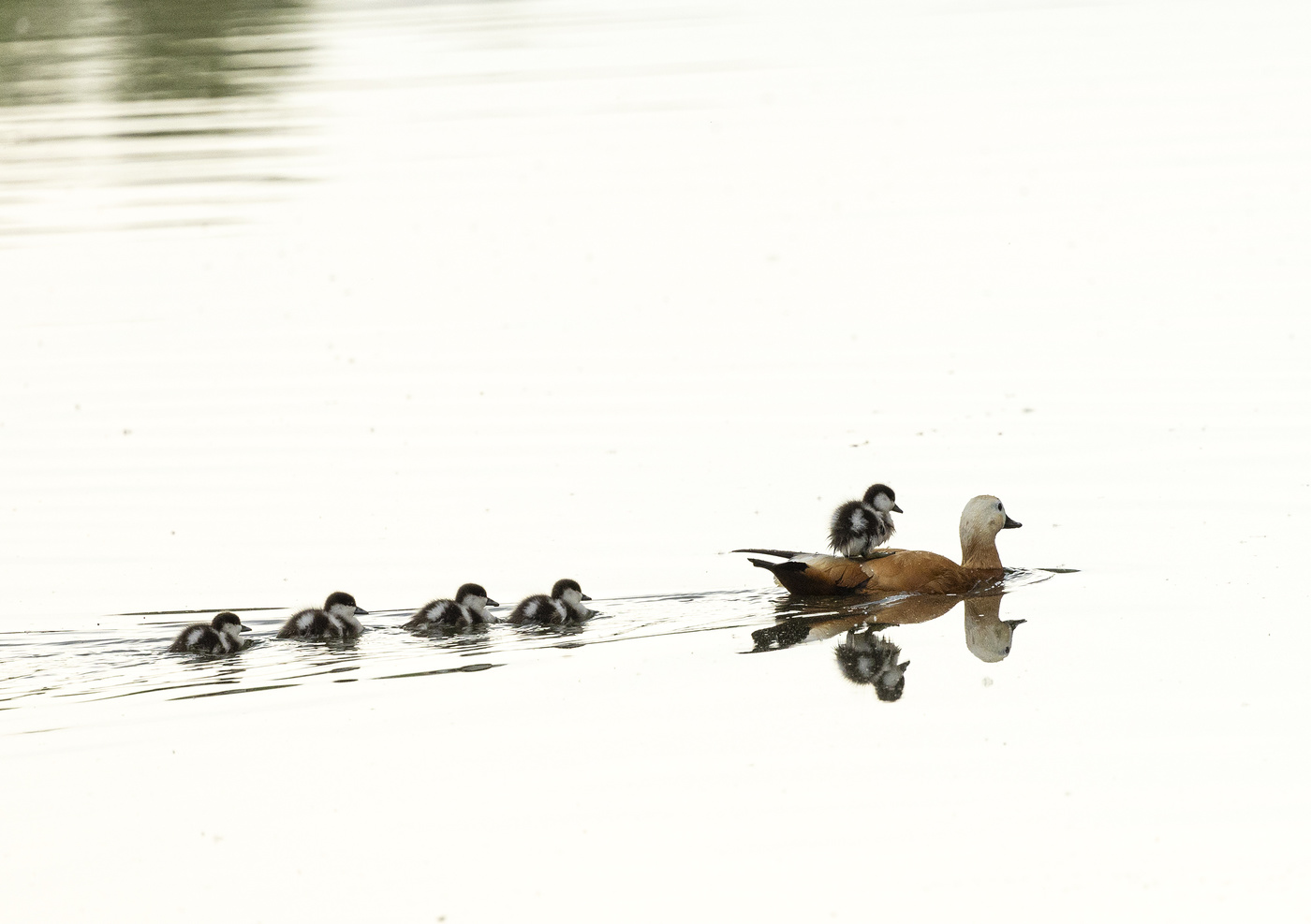Когда не хватает мест в СВ