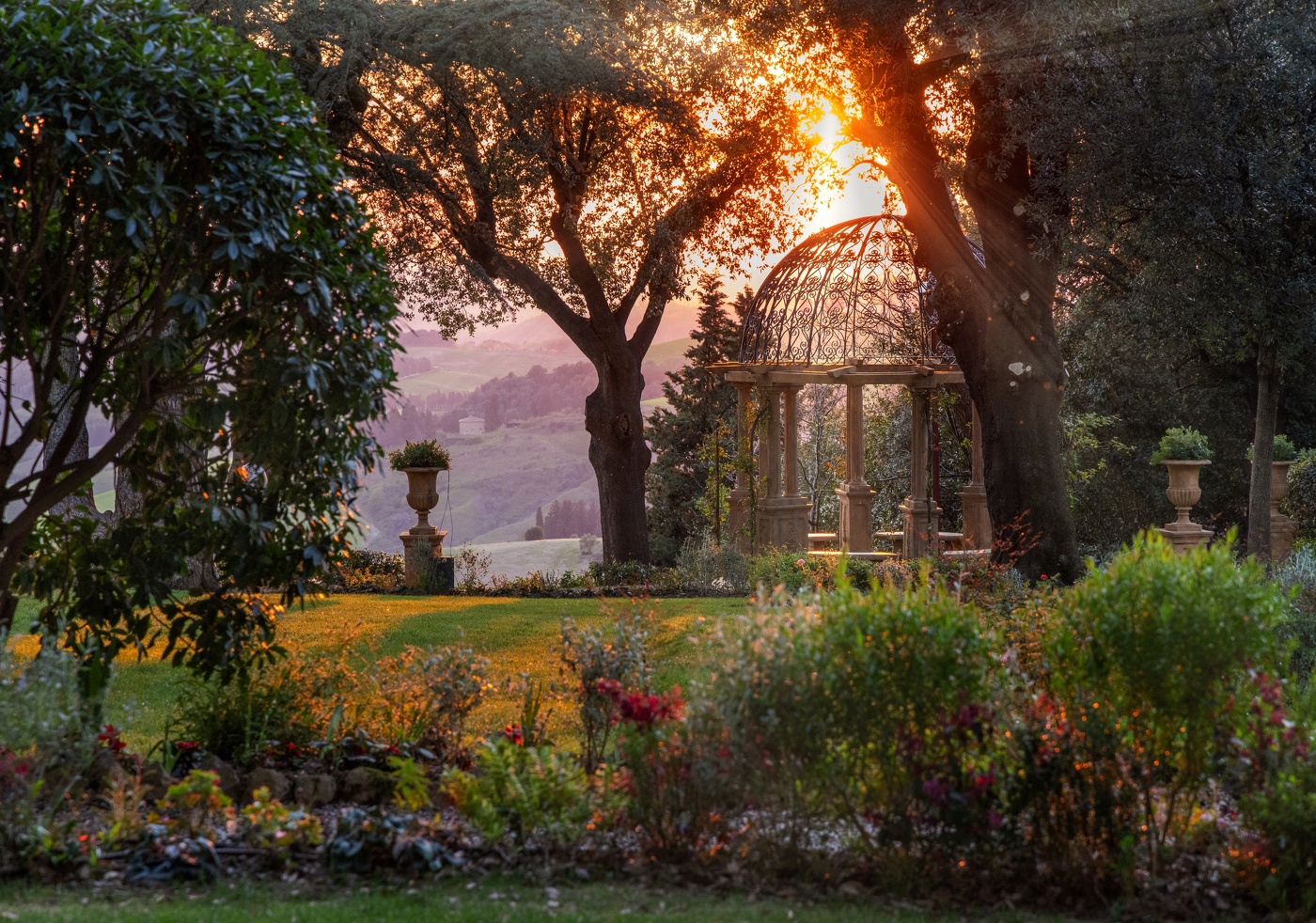 В лучах света...