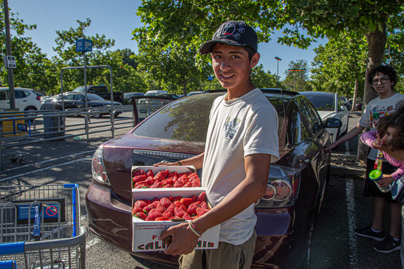 Лето, солнце, клубника