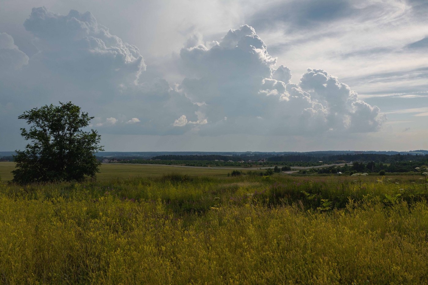перед грозой