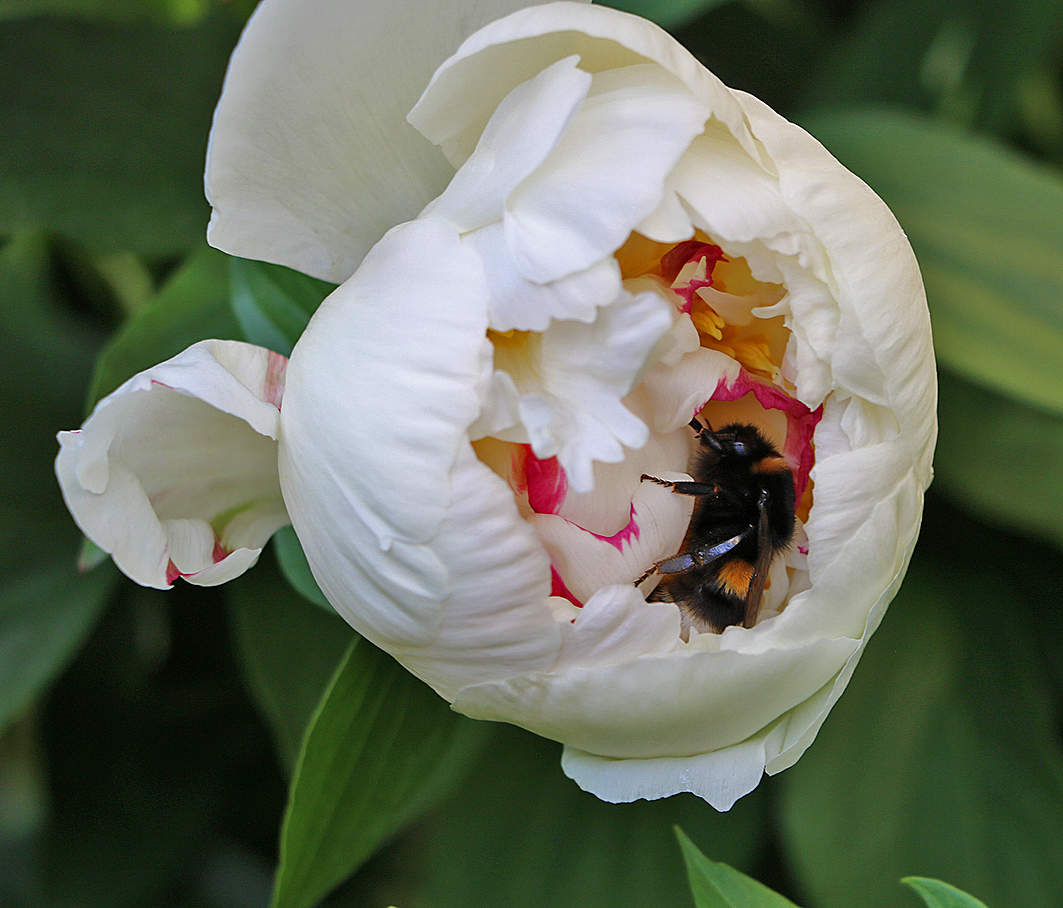 Наелся и спать завалился в колыбельке!