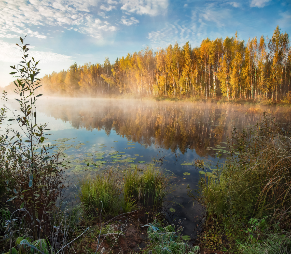 Клевое место