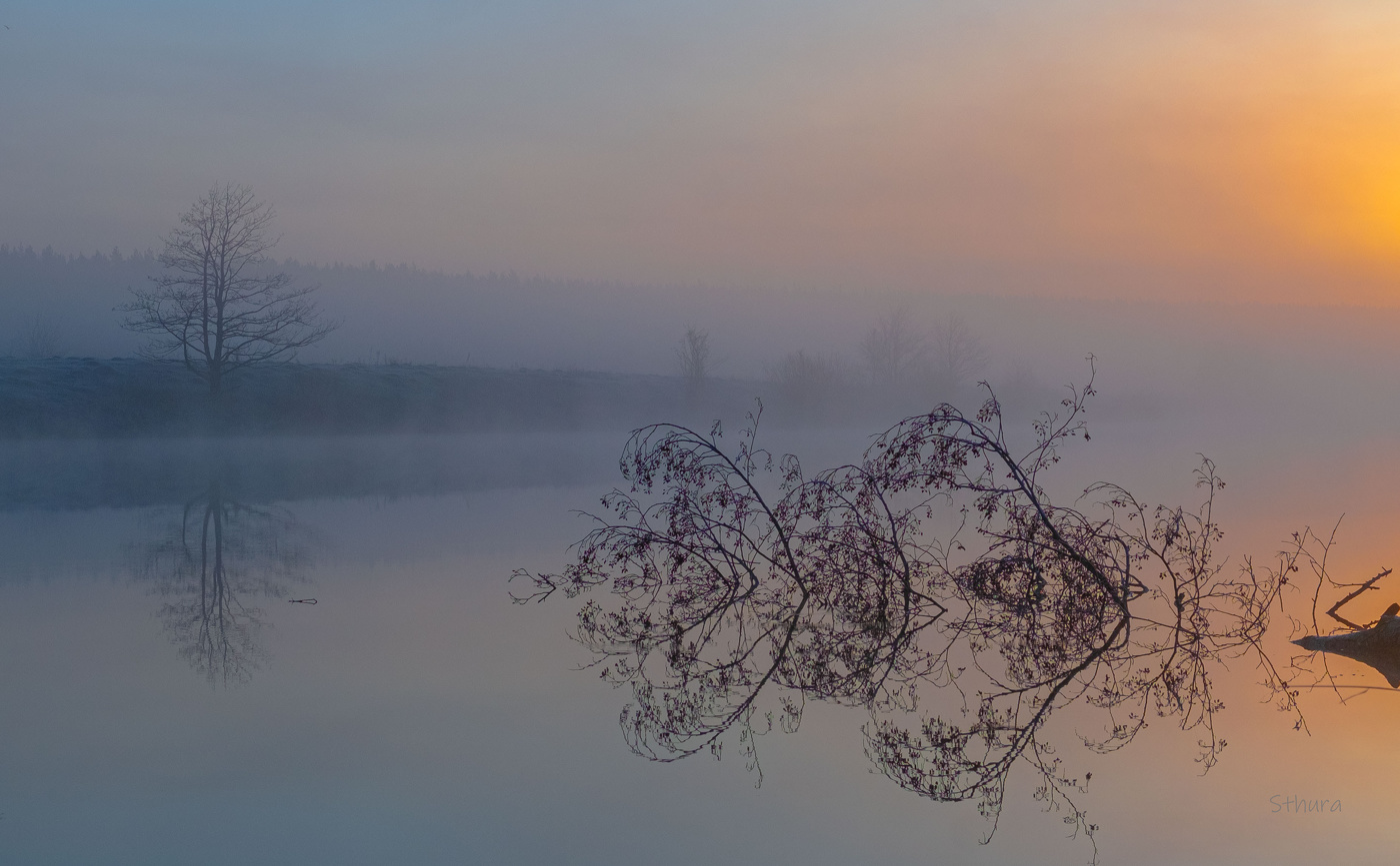Туманное утро.