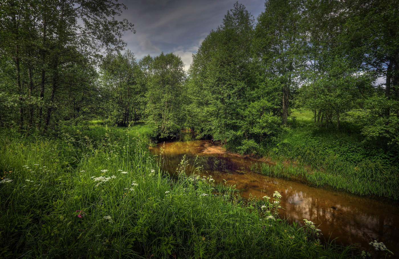Погожий день..