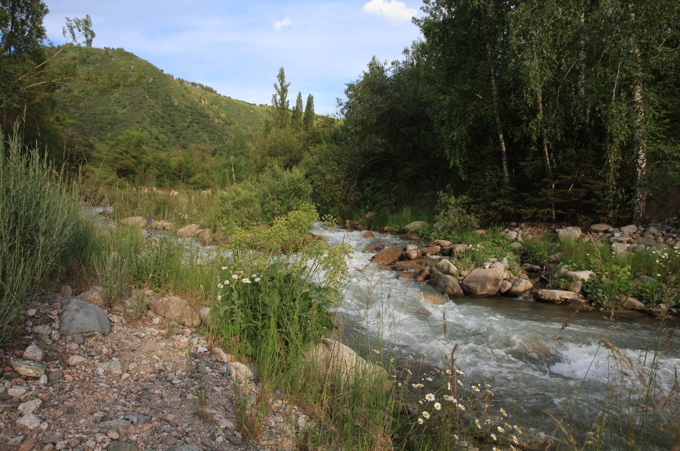 Лето по состоянию на 15.06.2025