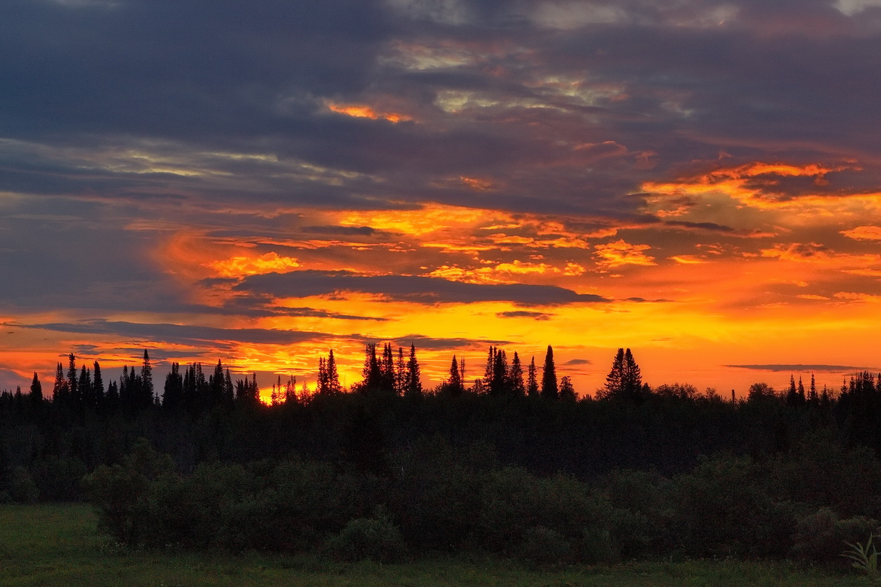Летним вечером.