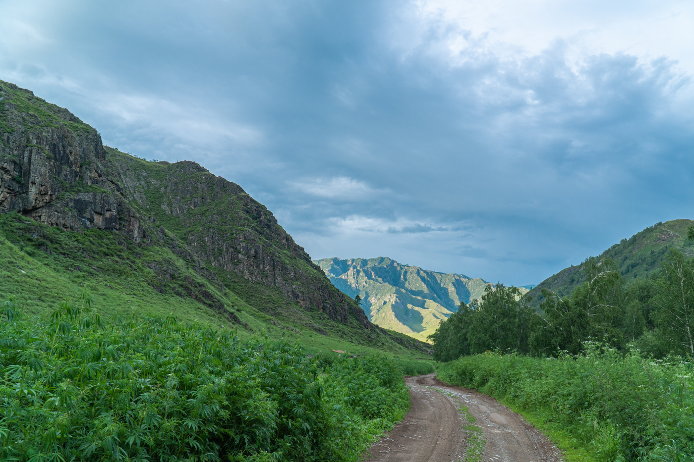 Горный Алтай