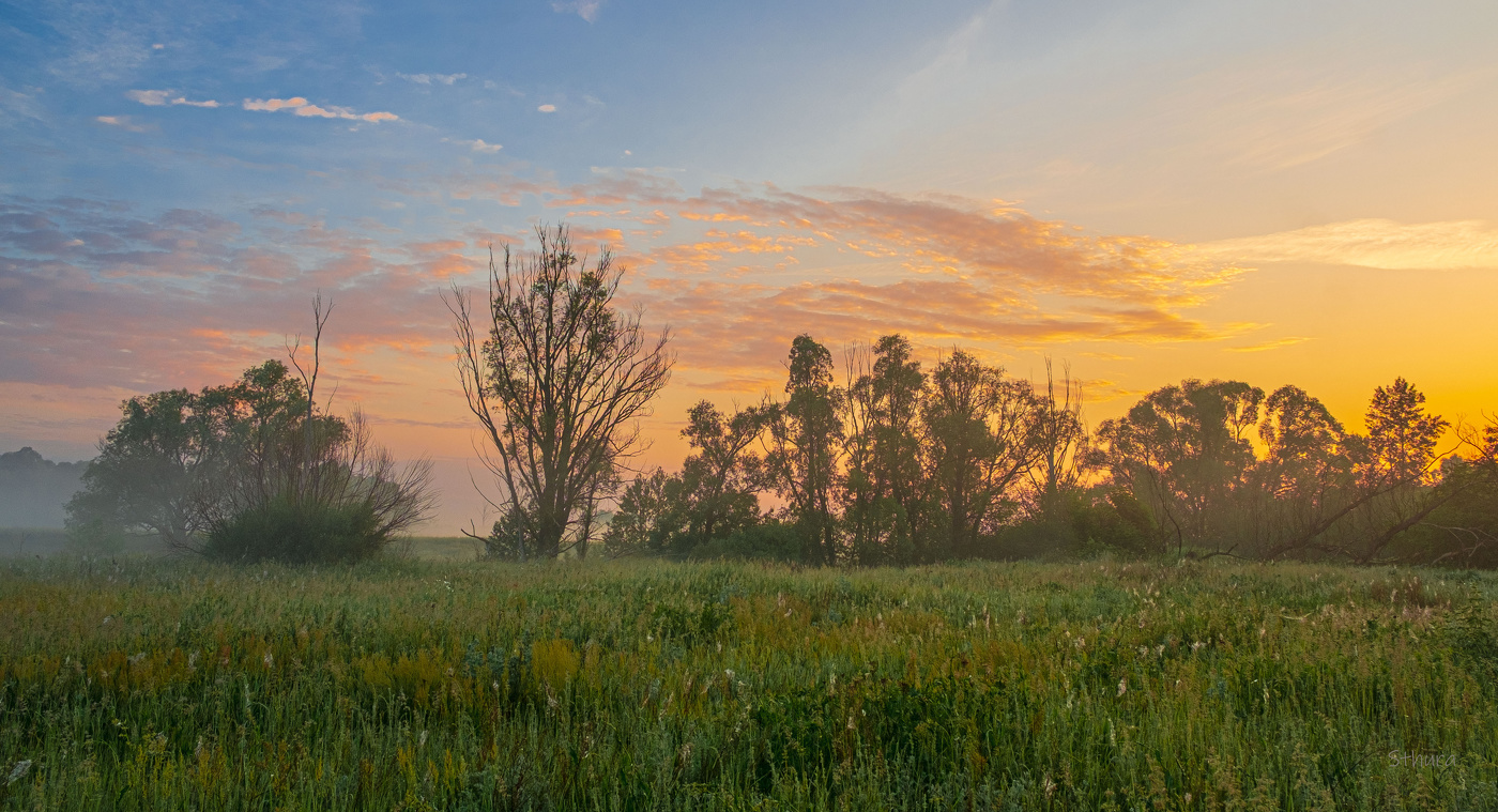 Рассвет в лугу.