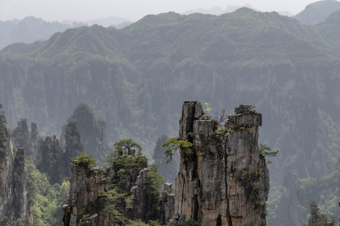 Парк Аватар