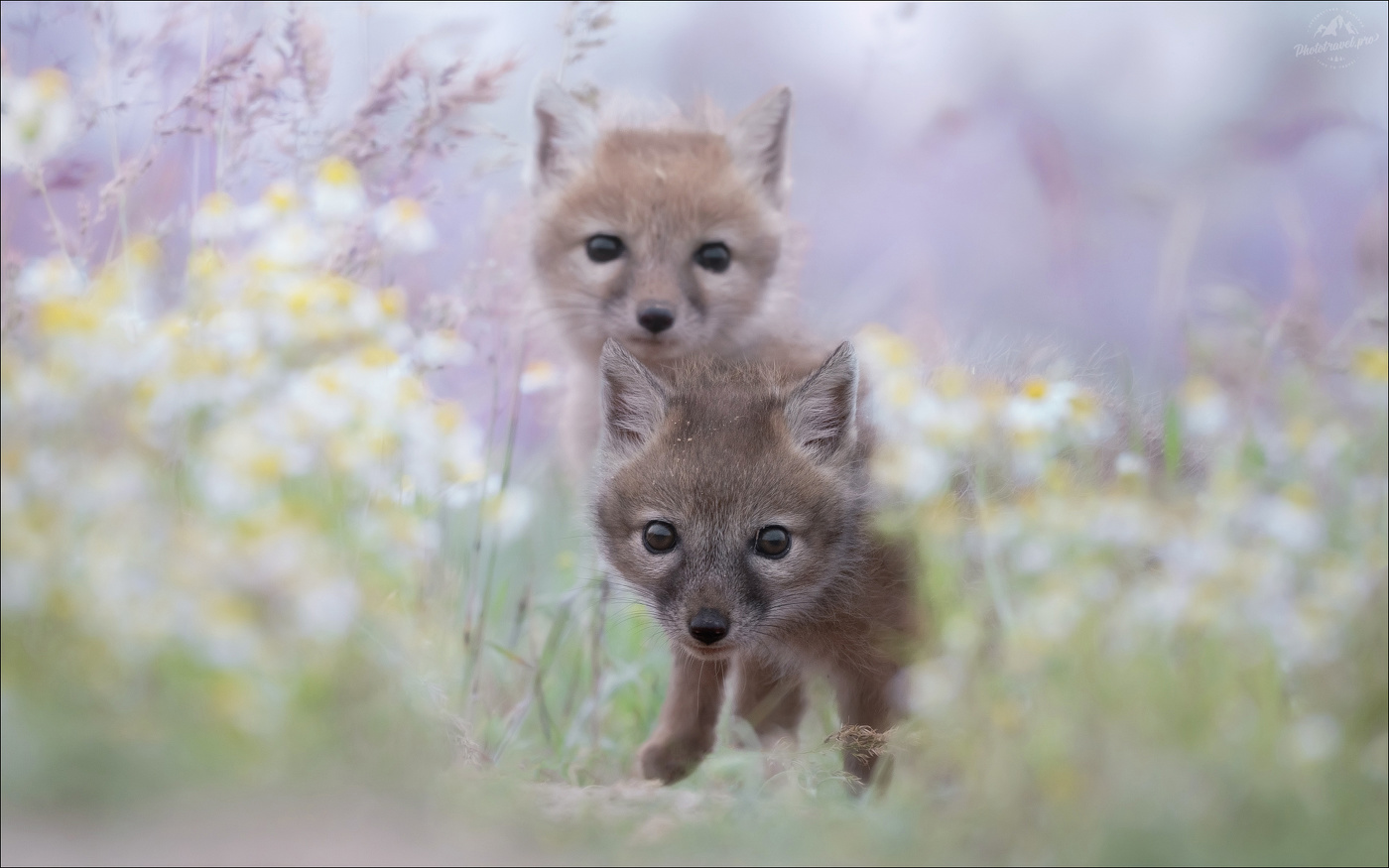 Время открытий ..