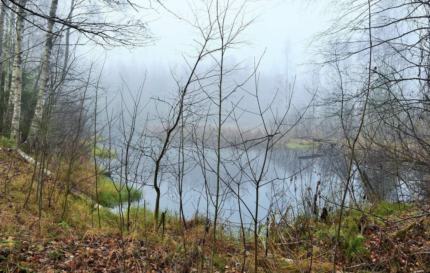 Утреннее умиротворение ...