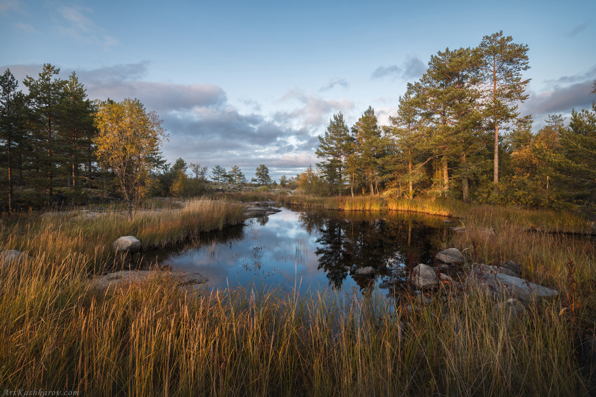 "Осенняя Ладога"