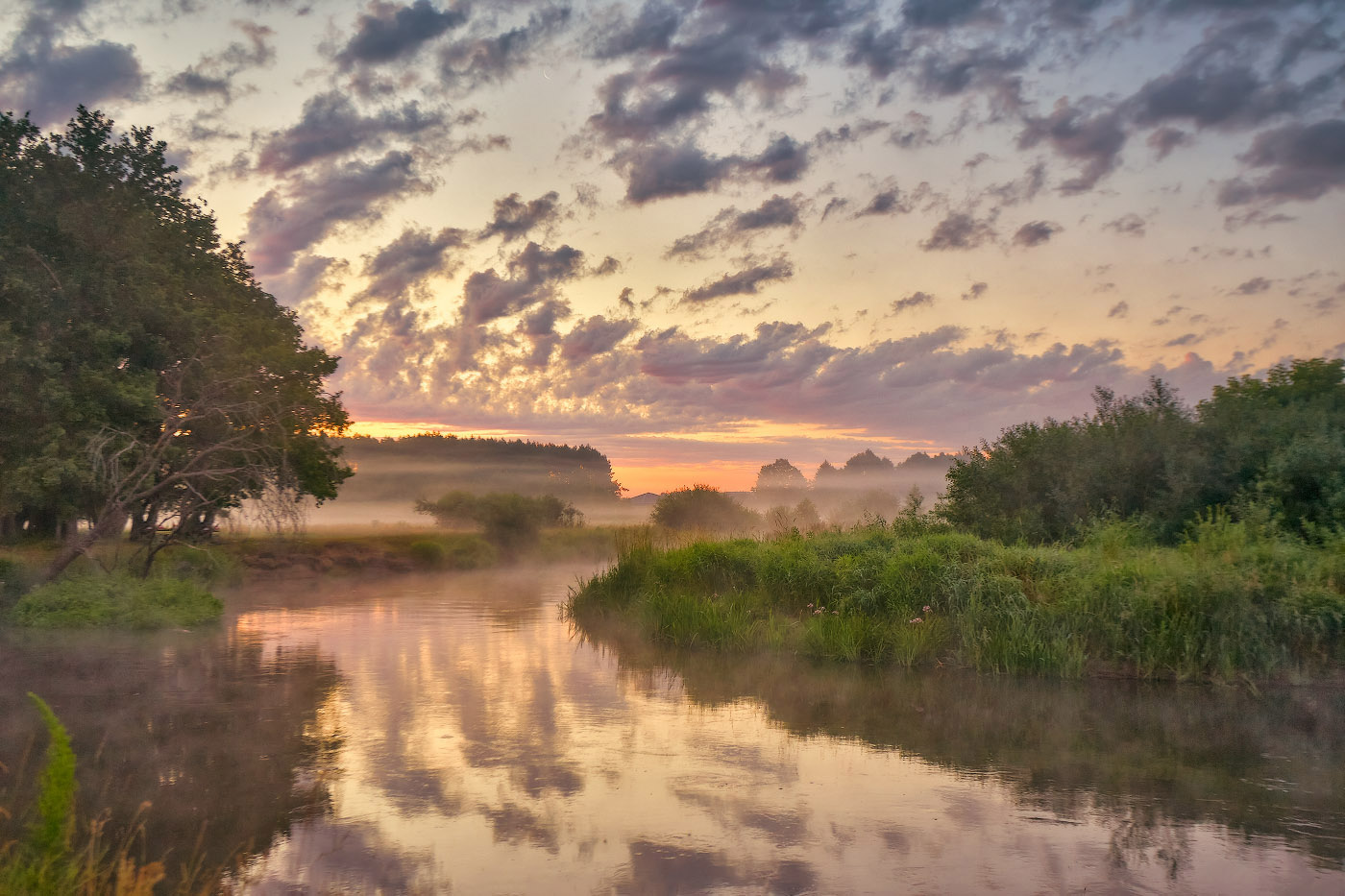 Нёман рассветный