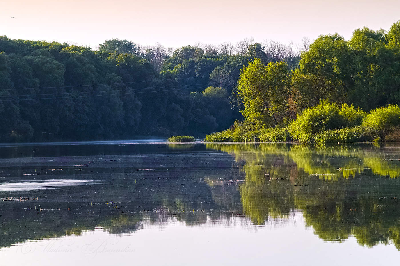 Тишина июньского утра