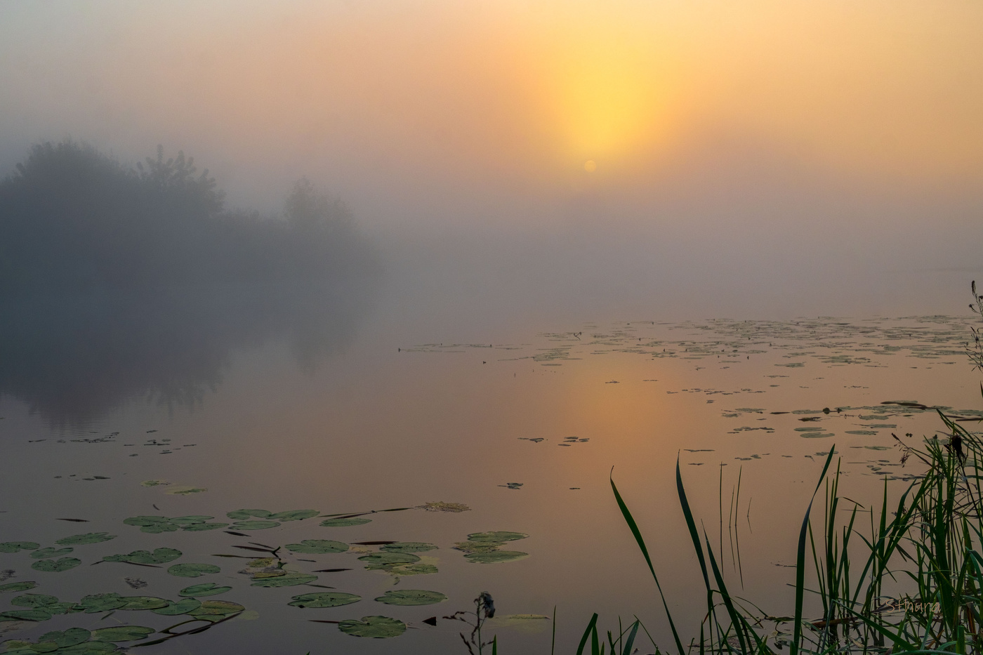 Туман на озере.