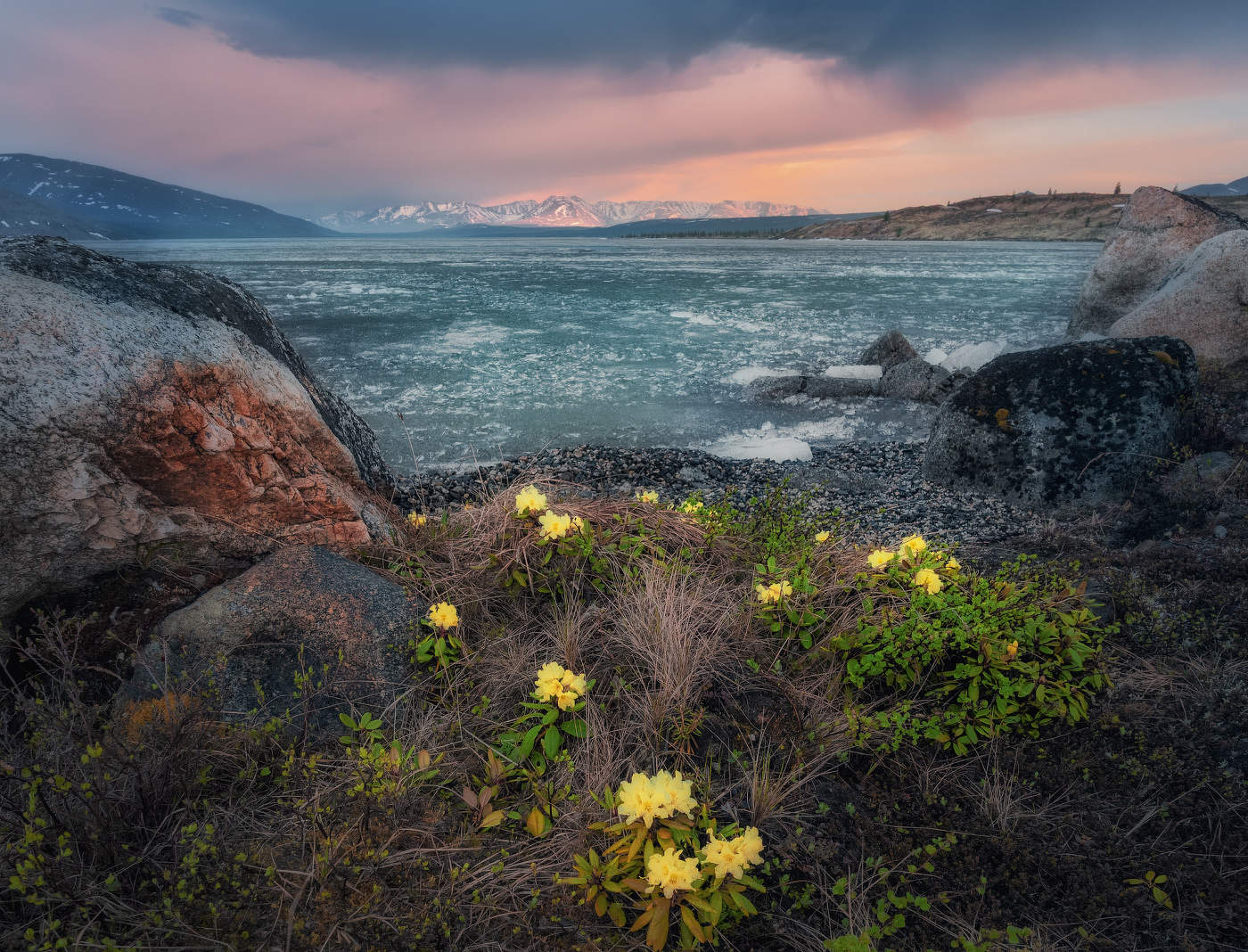 И лёд, и пламя, и цветы