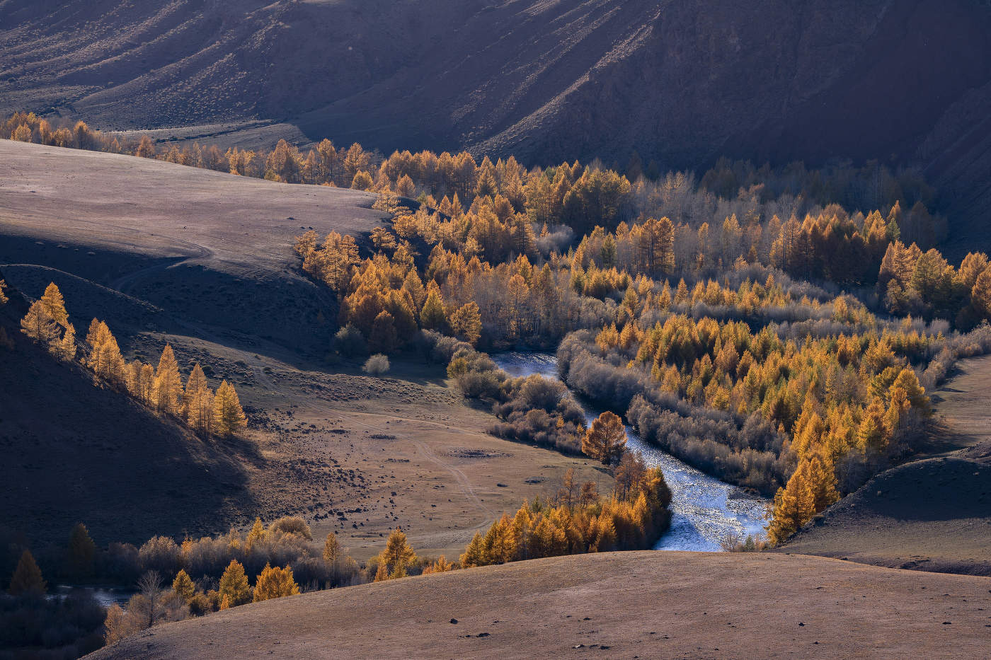 Кокря. Алтай.