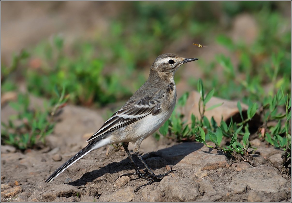 Это жжжж неспроста )