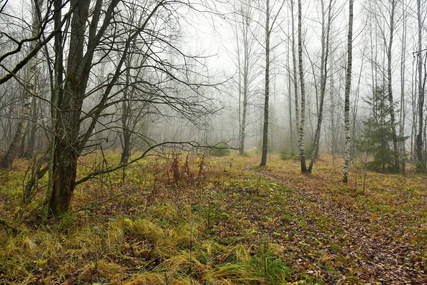 "Нынче для меня не просто осень ..."