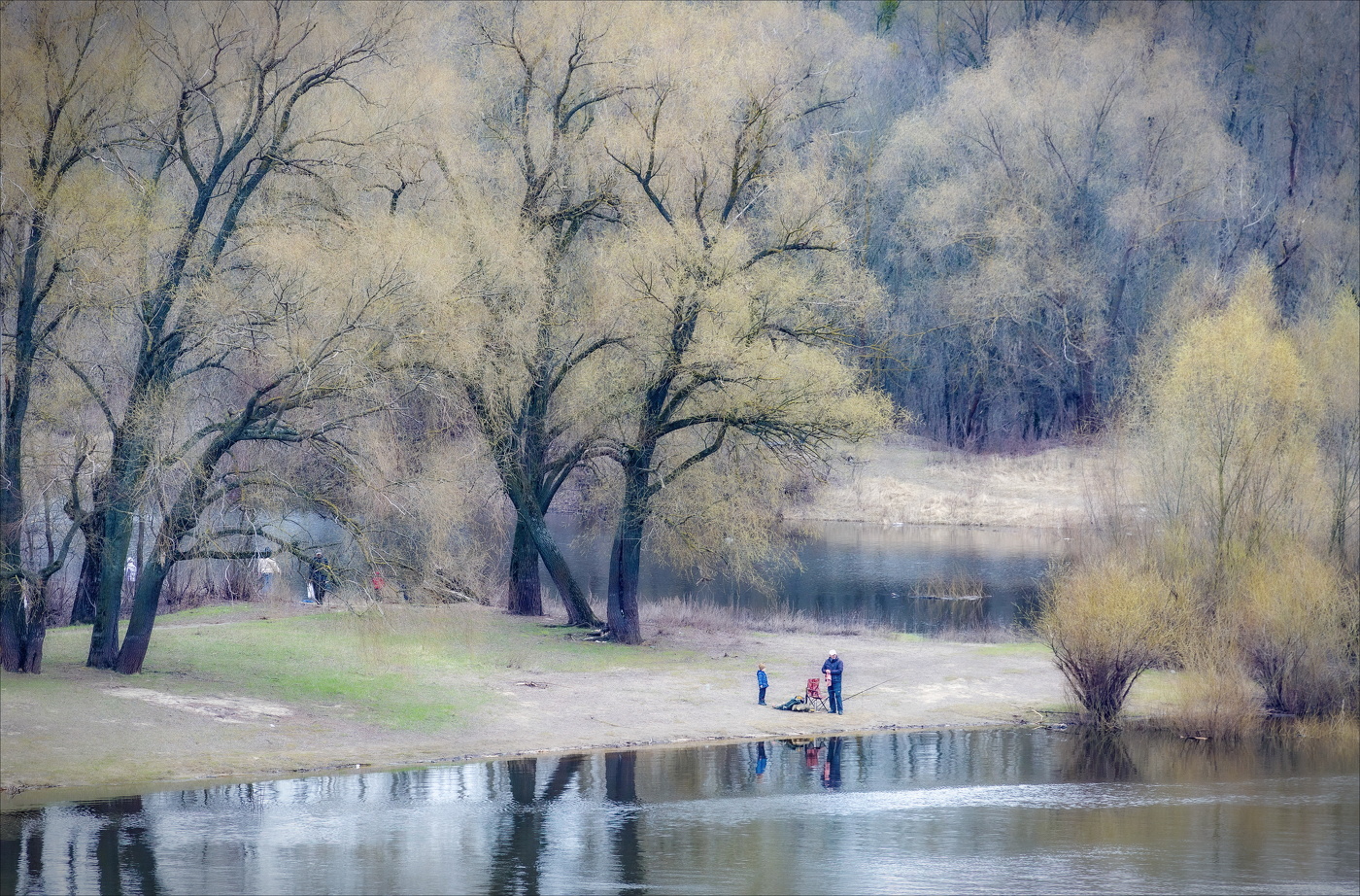 КОГДА РАСПУСКАЛИСЬ ИВЫ