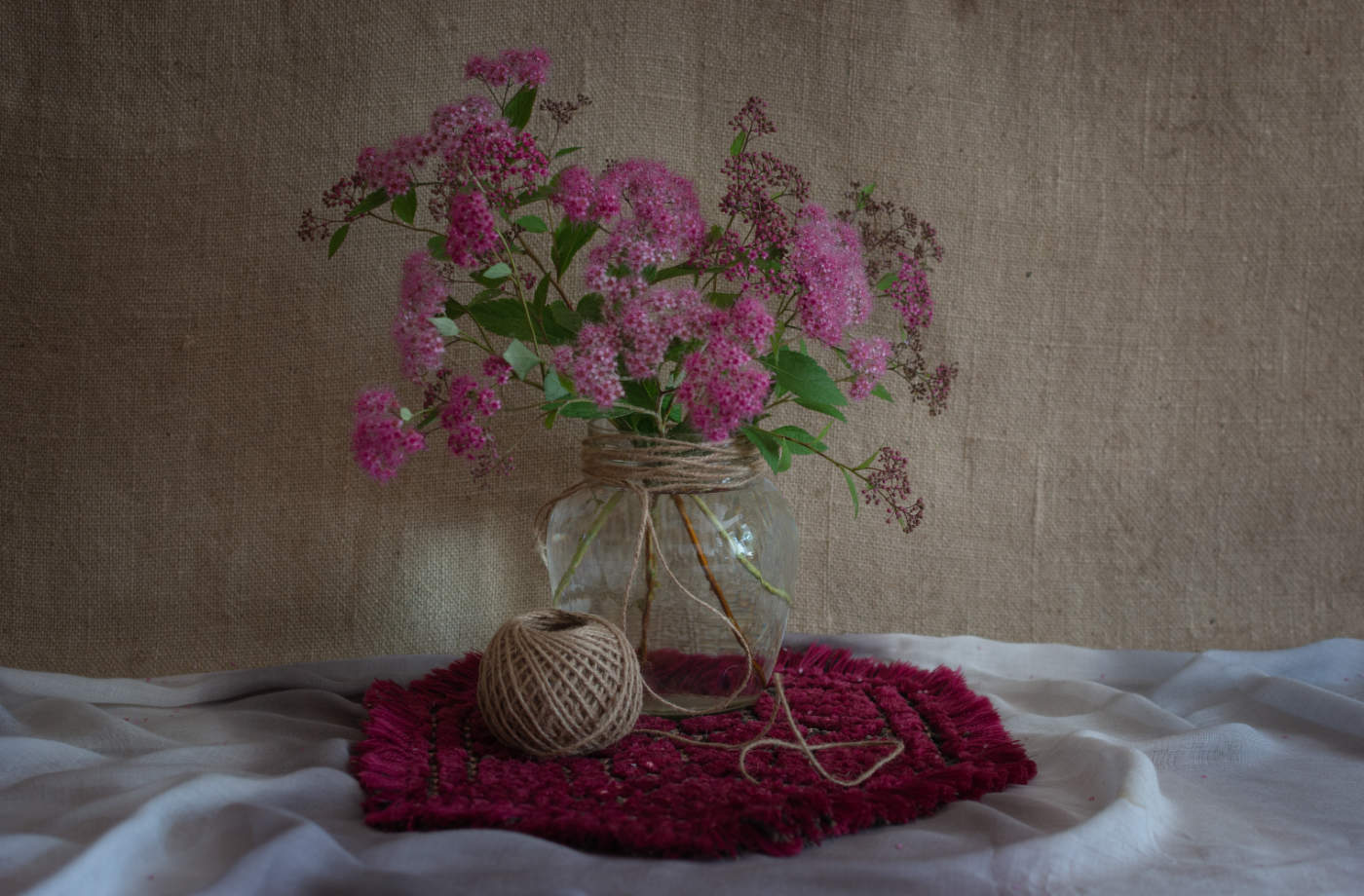 Розовая спирея.