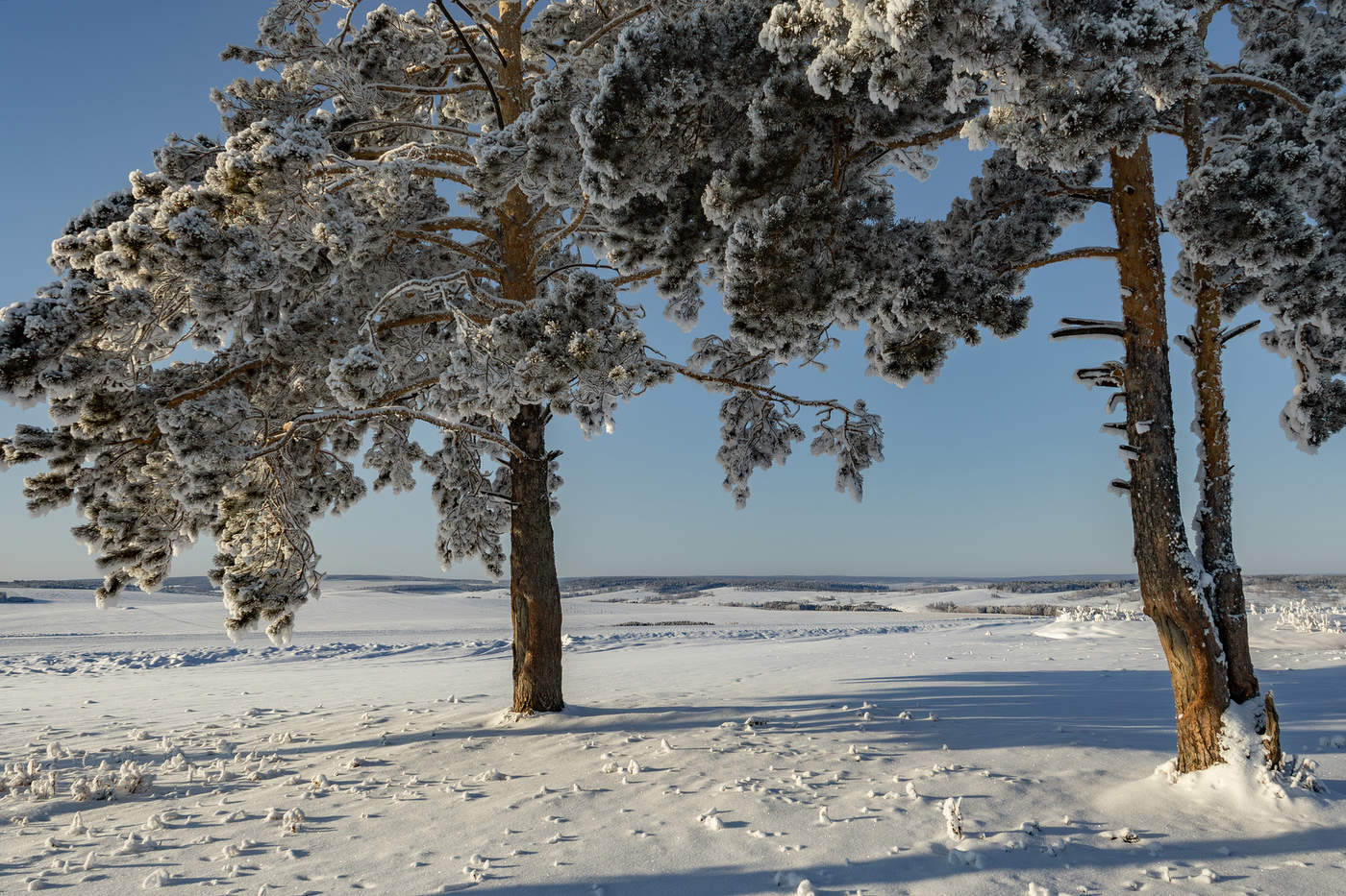 Просторы Сибири