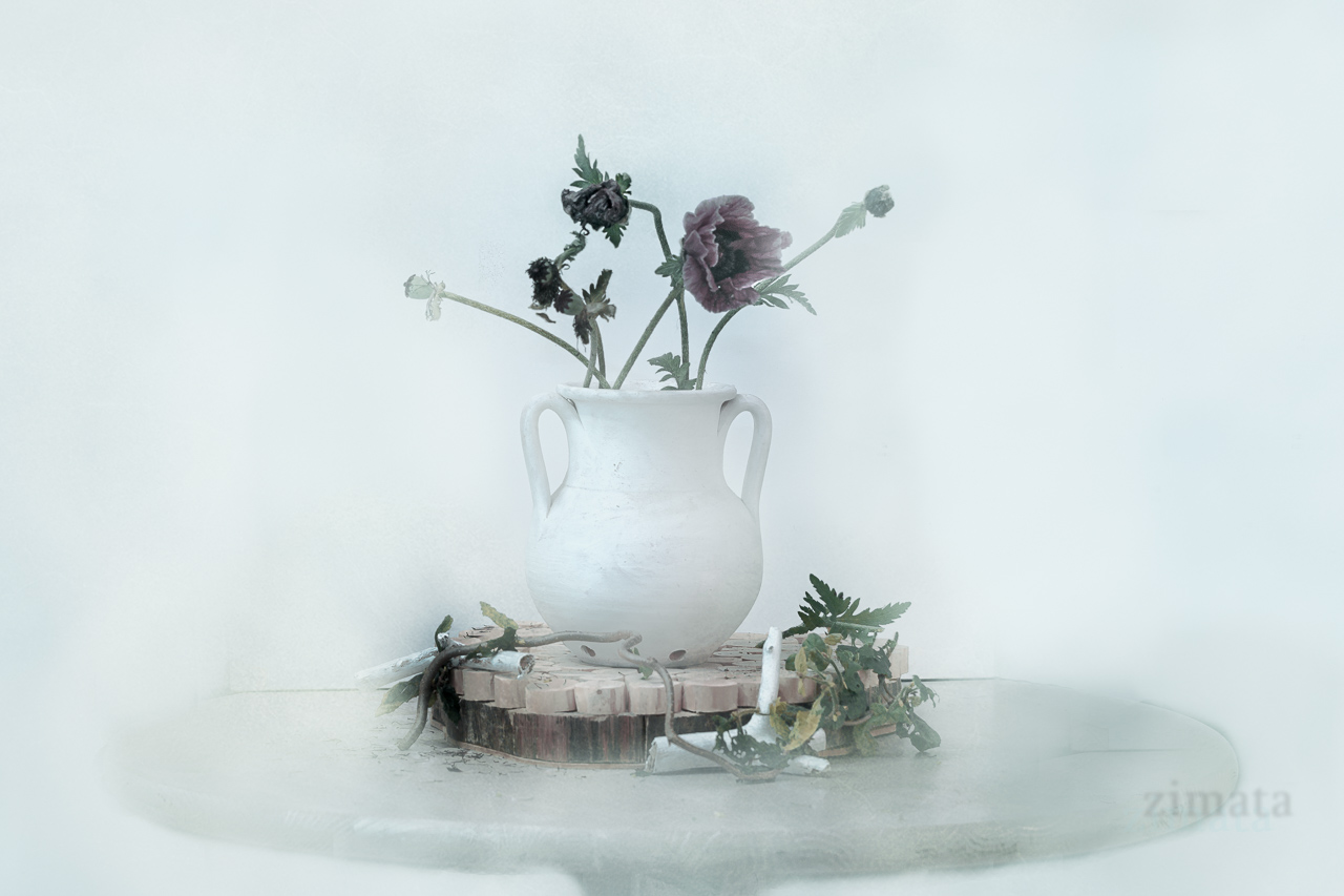 белый натюрморт