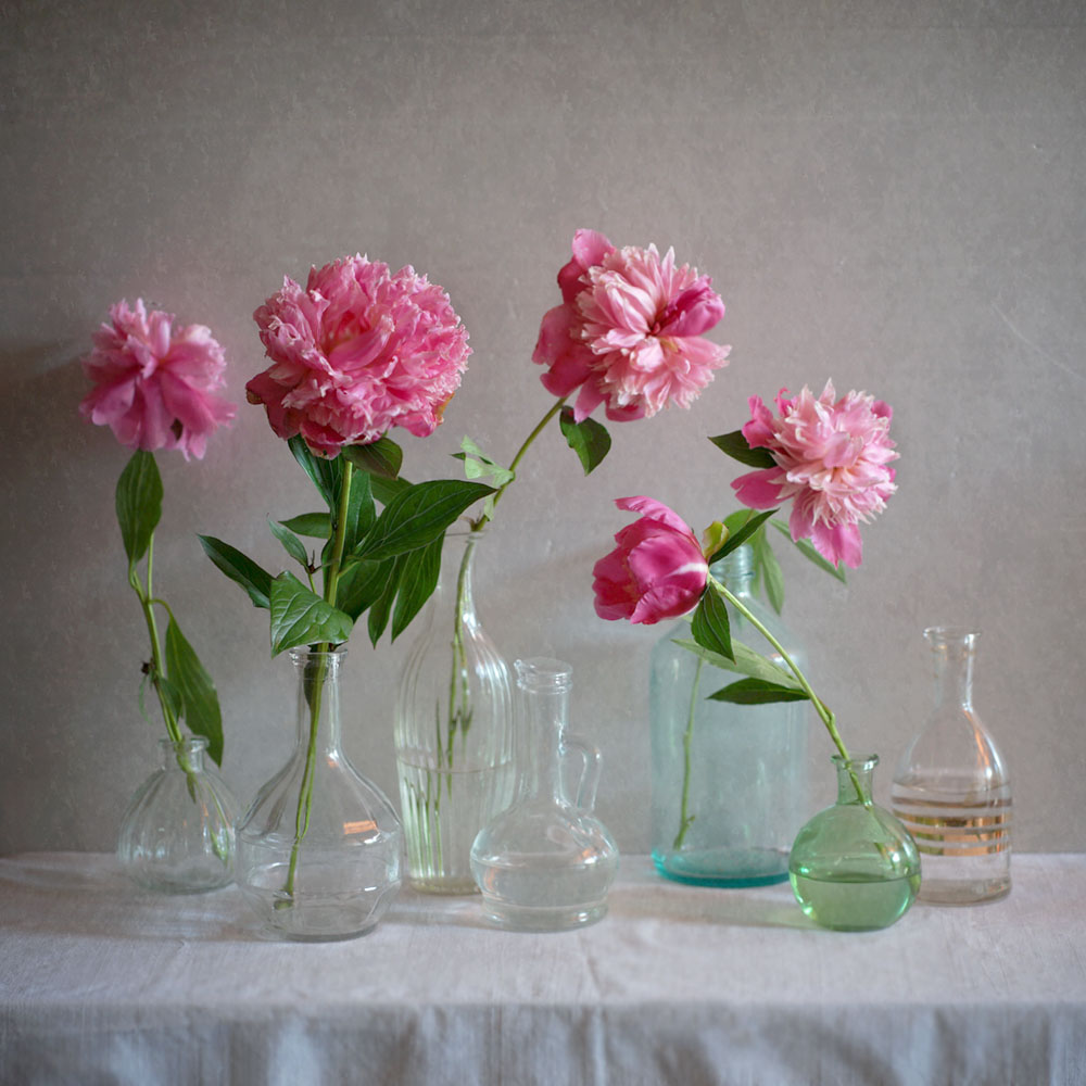 С пионами...