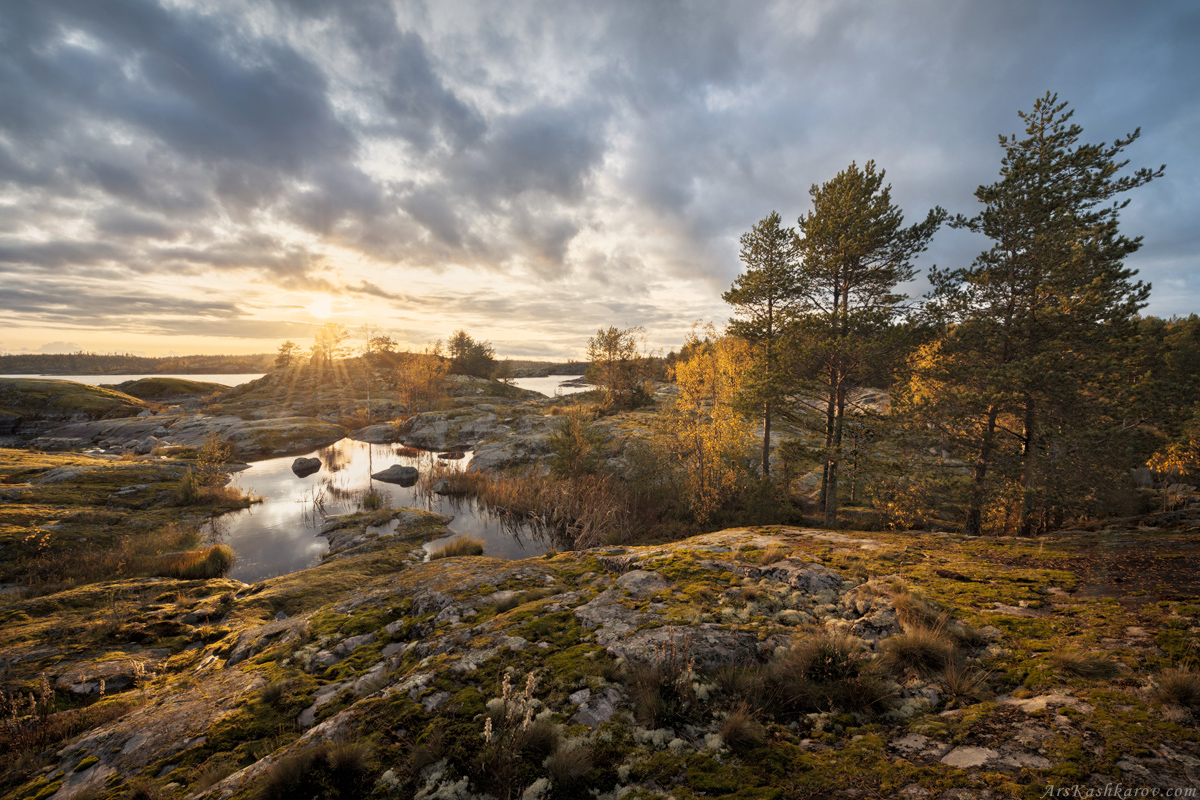 "Ландшафты островов Ладоги"