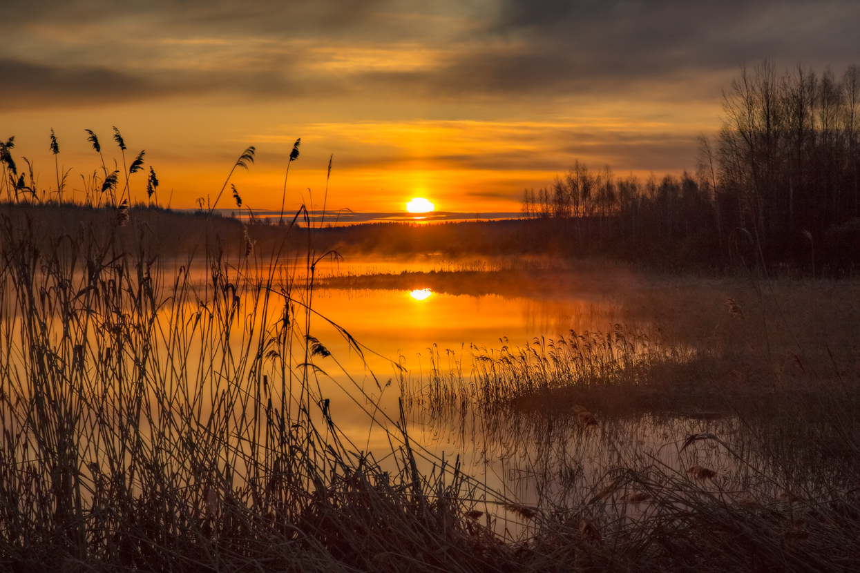 Тревожный рассвет