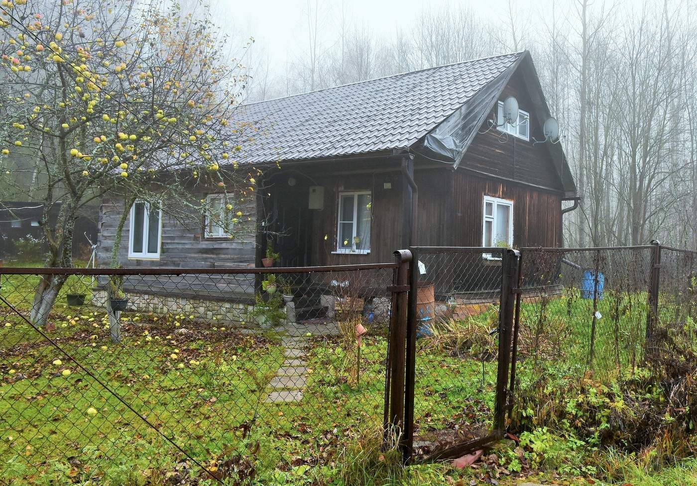 "Джаз. Осень. Яблоки. Корица ..."