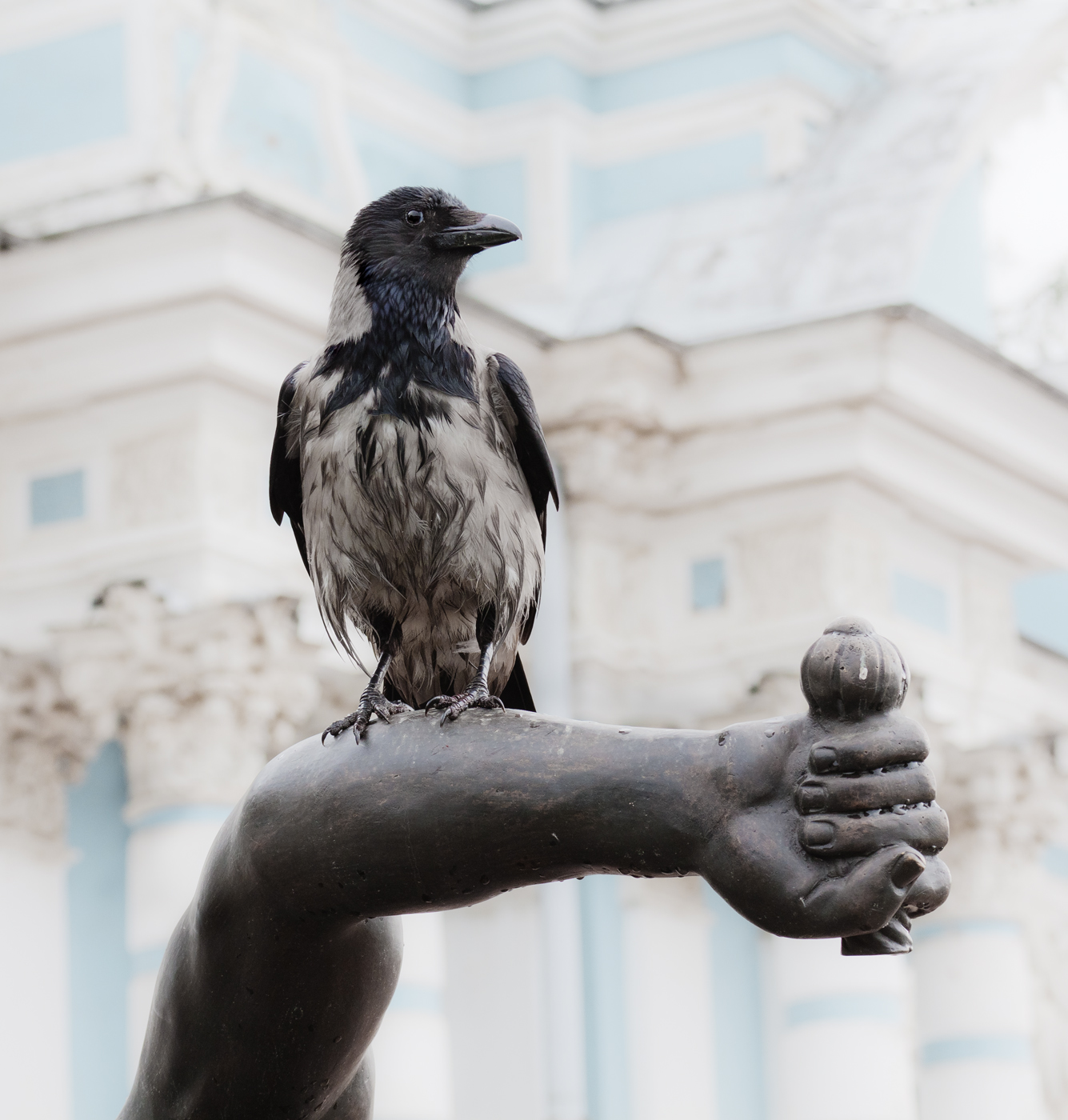 Сцена из античной жизни 6