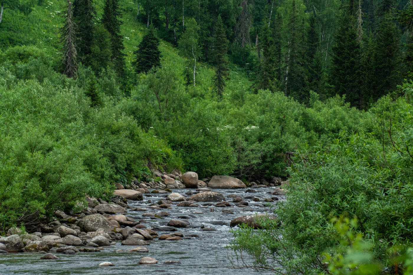 Поднебесные зубья