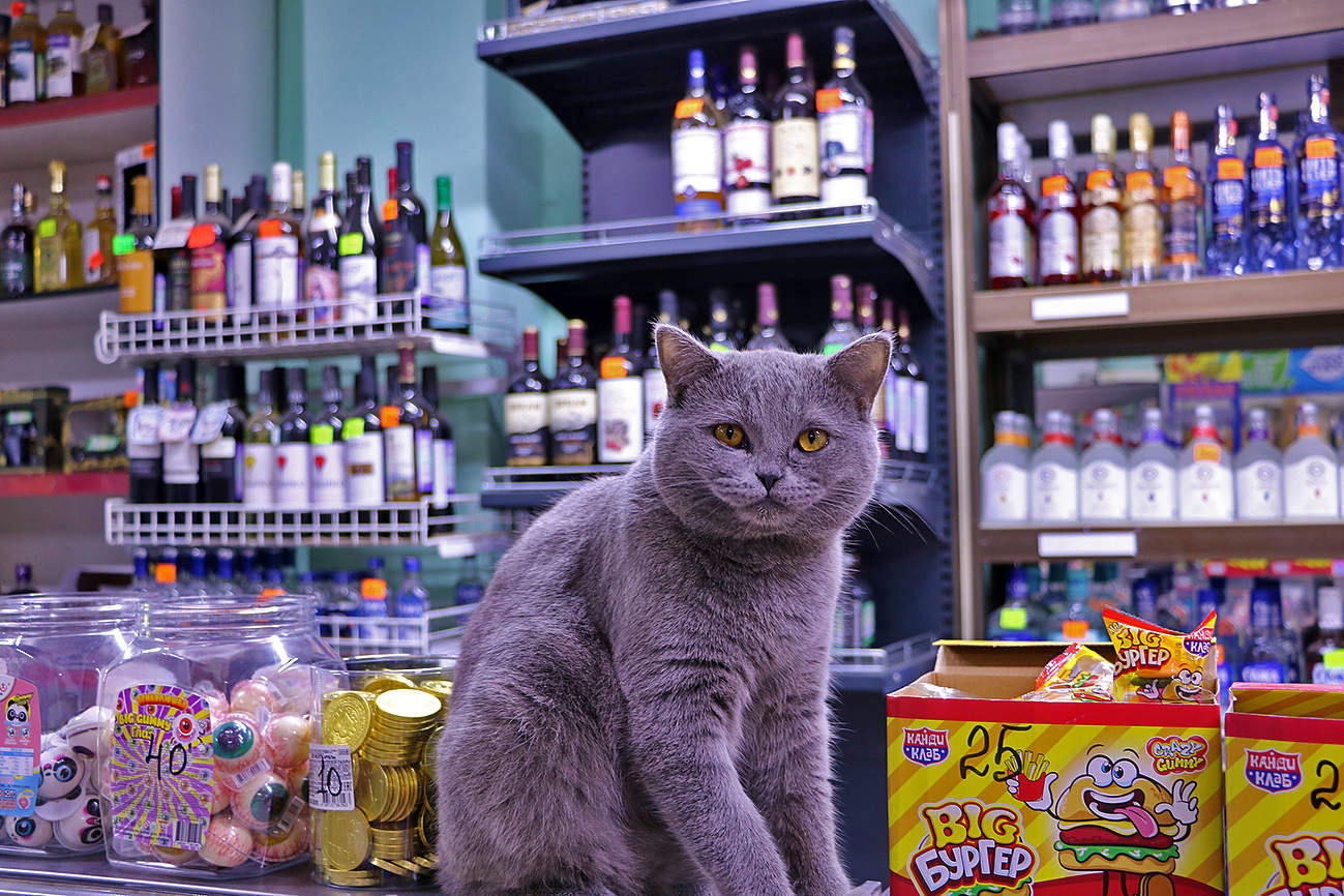 Магазинный смотритель