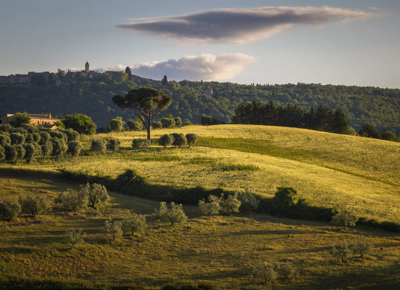Вечерний свет