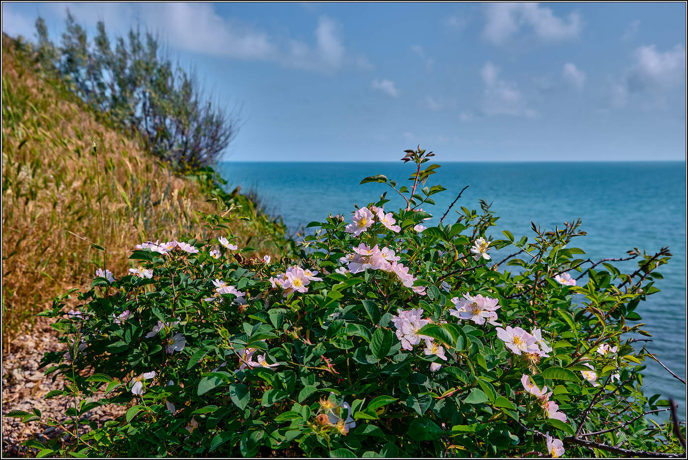 Наступили летние деньки.