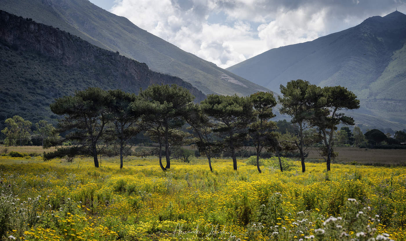 Весна на Сицилии