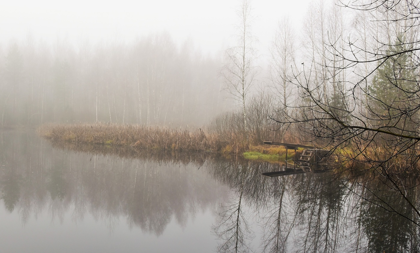 Ни звука вокруг ...