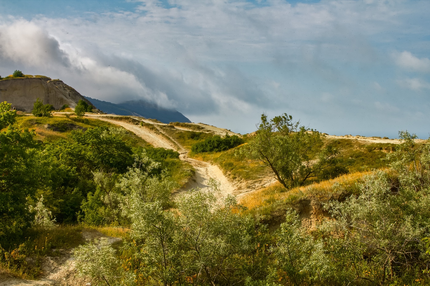 Ветер с моря дул