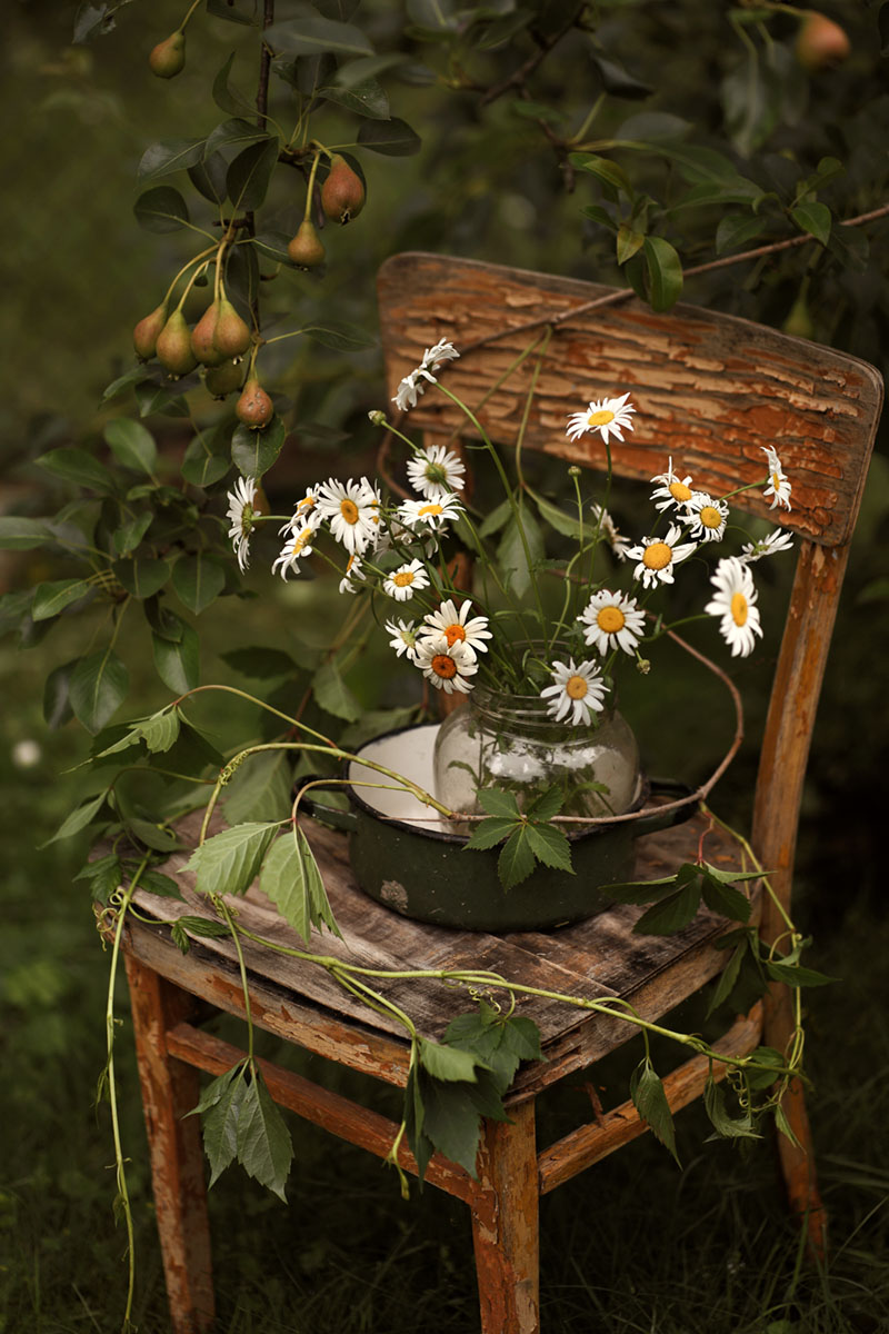 С ромашками...