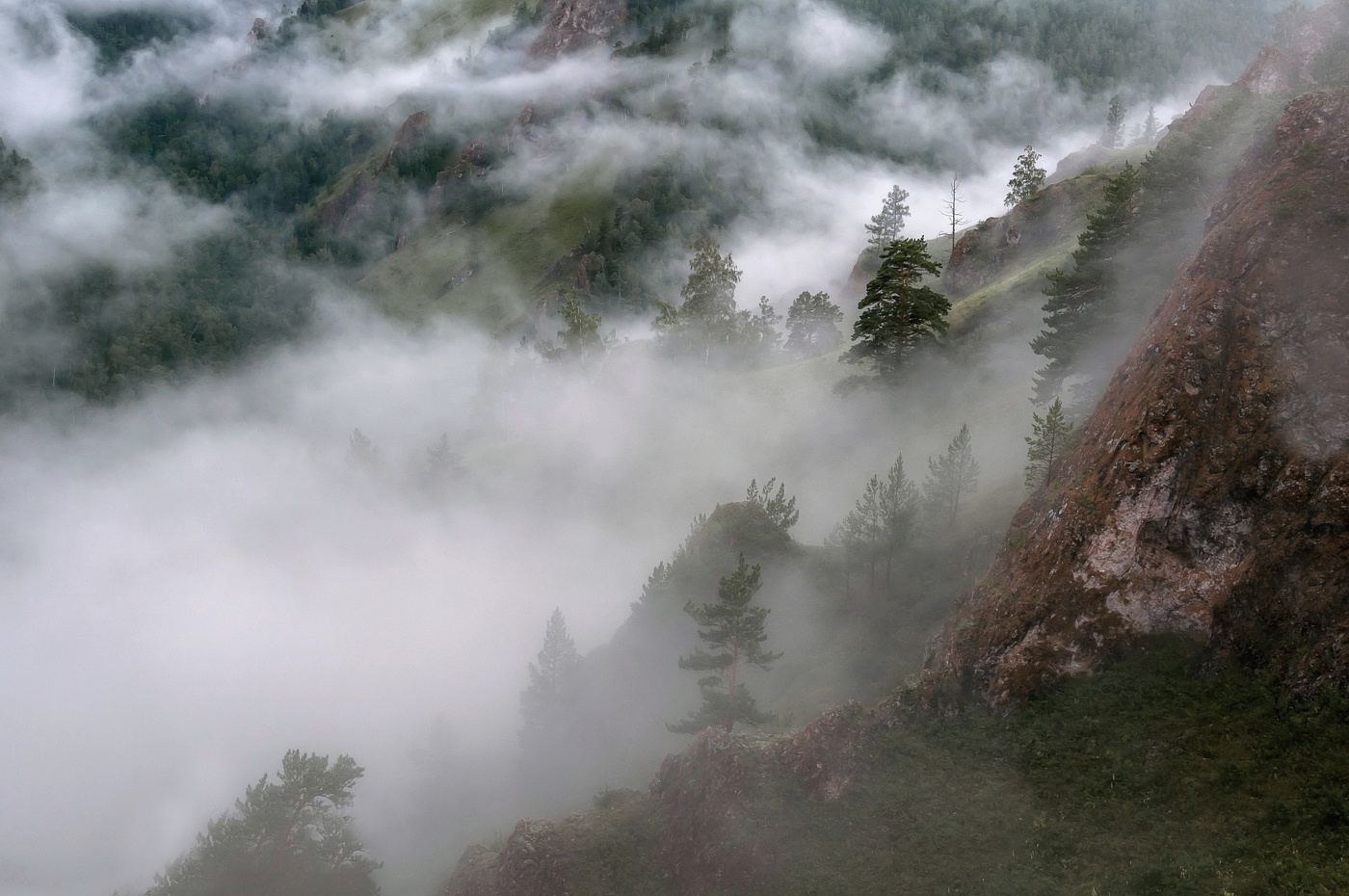 После дождя