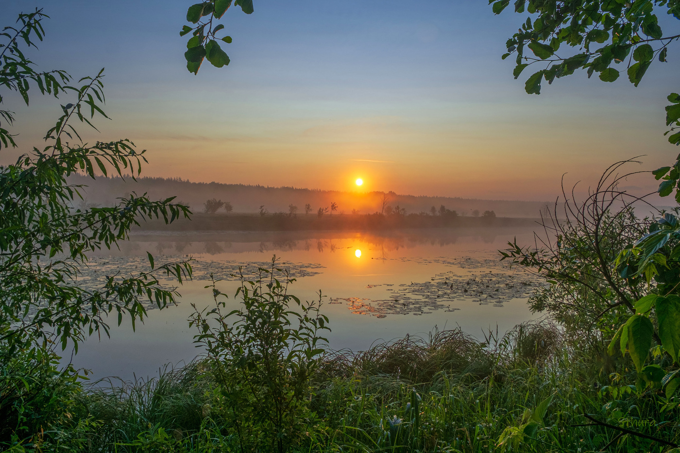 Лето. Рассвет.